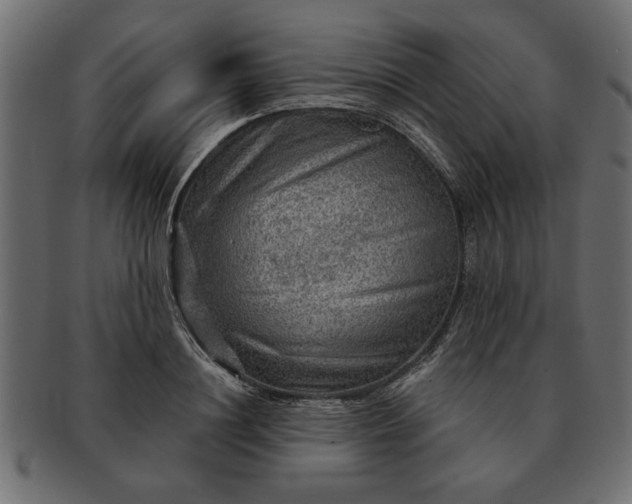 X0000091720844200709071434