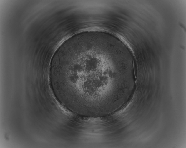 X0000091720845200709071434