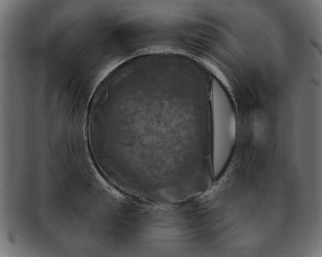 X0000091720847200709071434