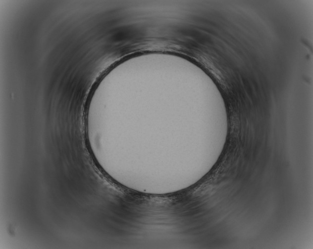 X0000091720848200709071434