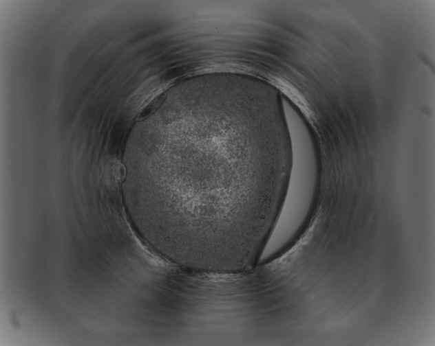 X0000091720849200709071434