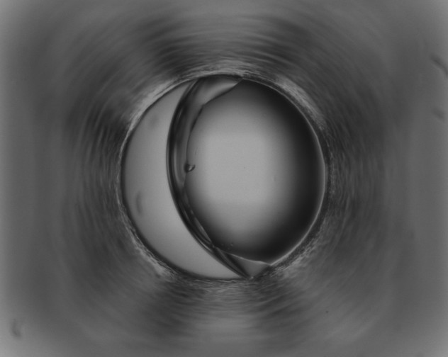 X0000091720850200709071434