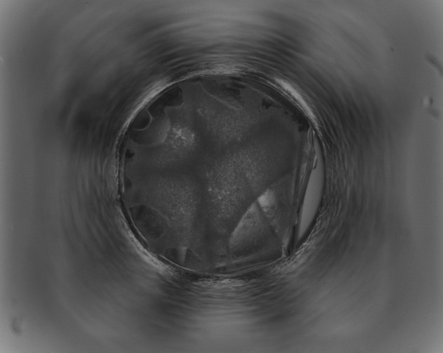 X0000091720851200709071434