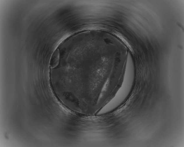 X0000091720853200709071434