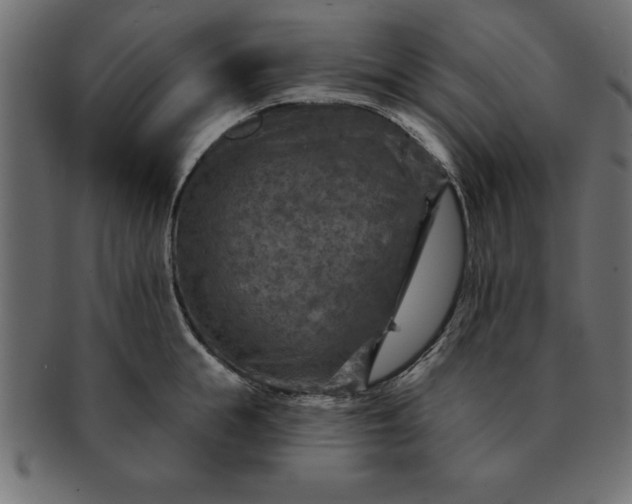 X0000091720855200709071434