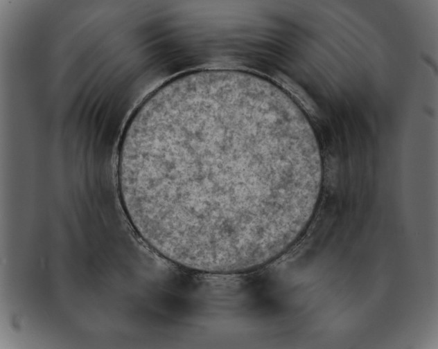 X0000091720856200709071434