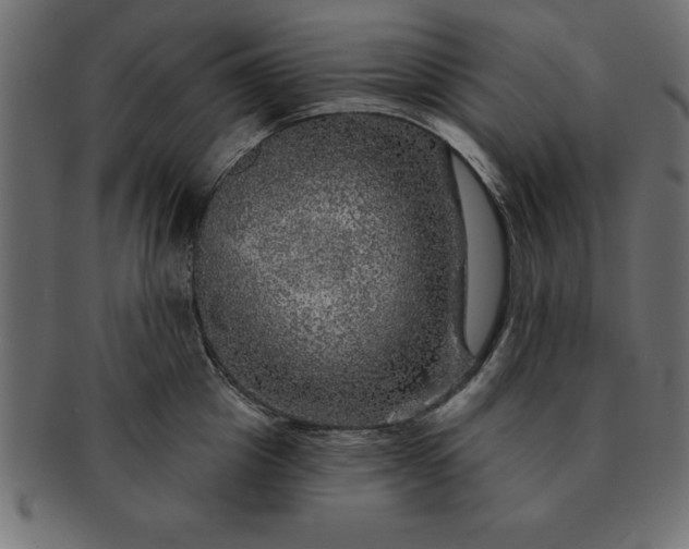 X0000091720857200709071434