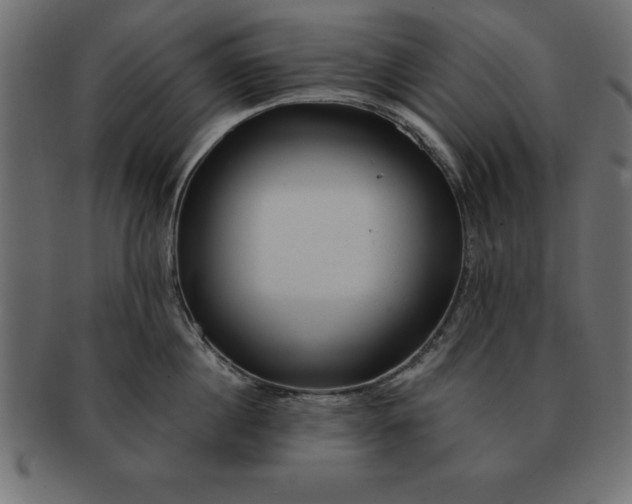 X0000091720860200709071434