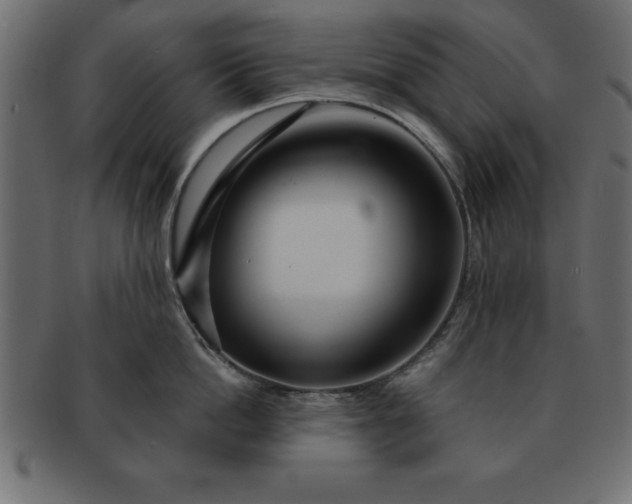 X0000091720862200709071434