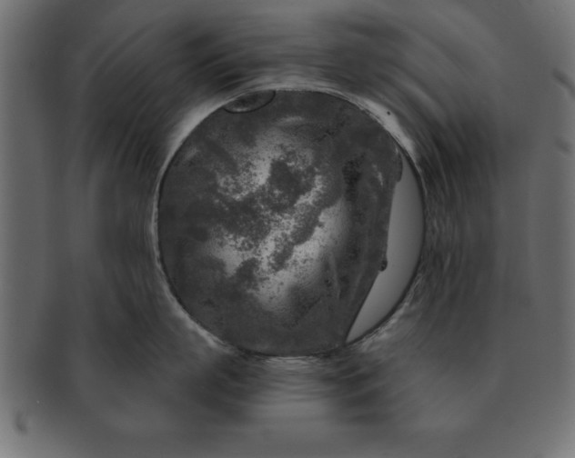 X0000091720863200709071434