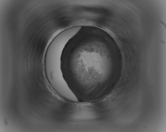 X0000091720864200709071434