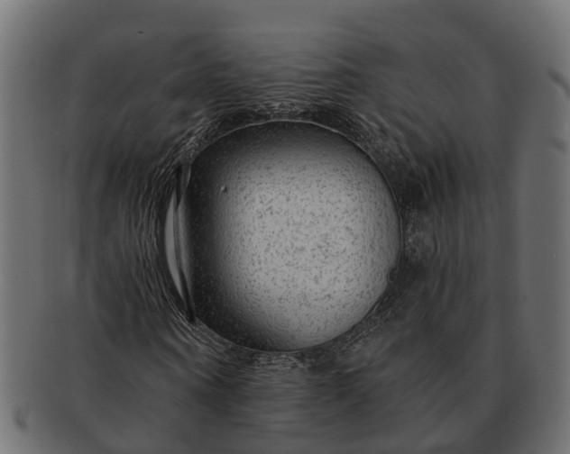 X0000091720866200709071434