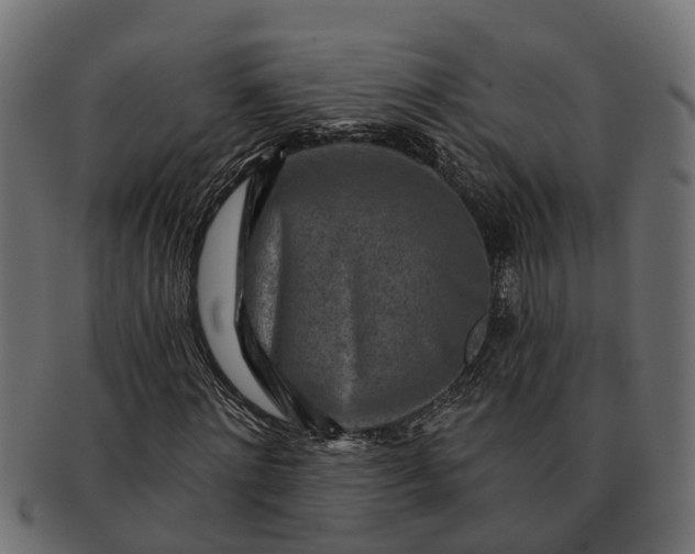 X0000091720868200709071434