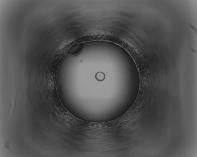 X0000091720869200709071433