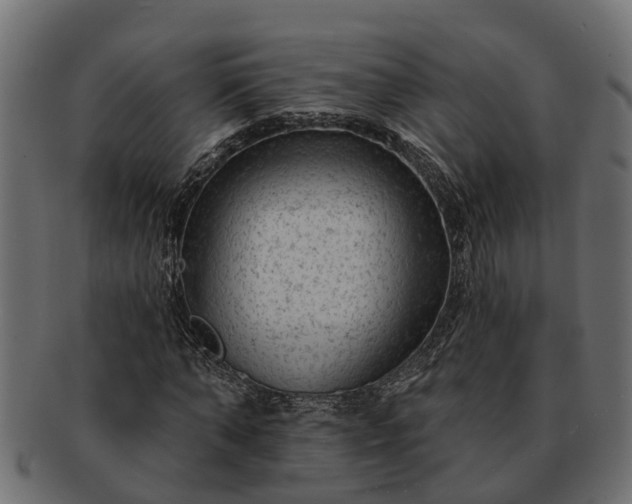 X0000091720870200709071433