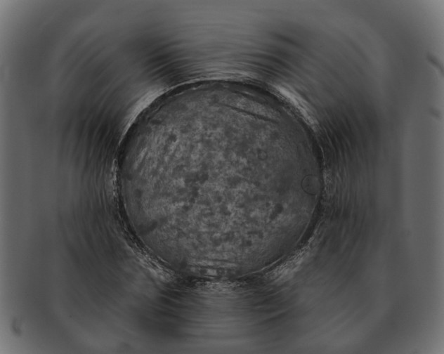 X0000091720875200709071433