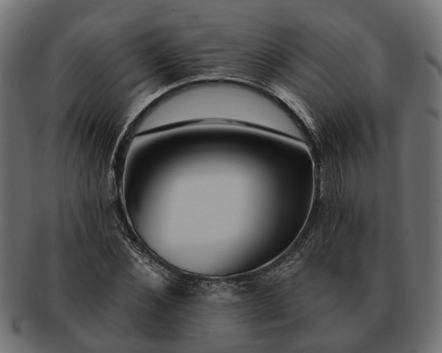 X0000091720876200709071433