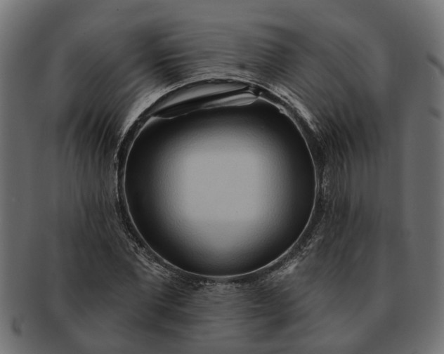 X0000091720877200709071433