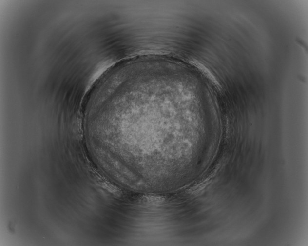 X0000091720878200709071433