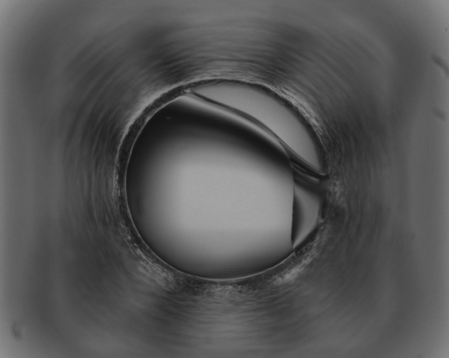 X0000091720880200709071433