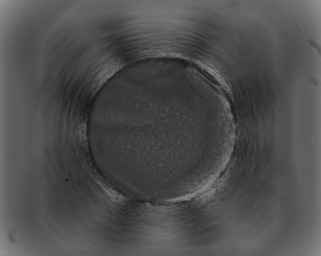 X0000091720881200709071433