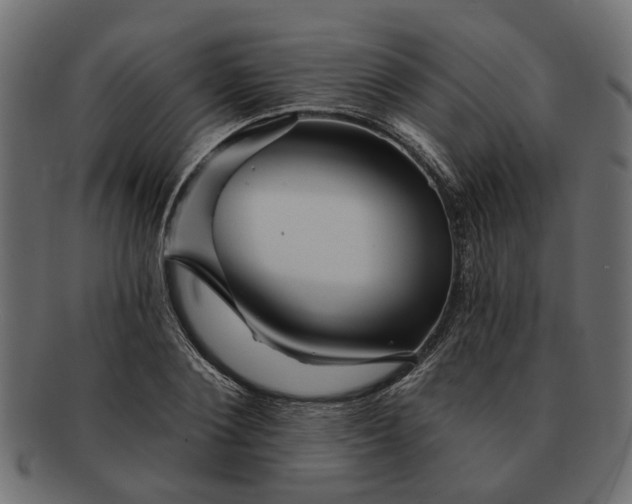 X0000091720884200709071433