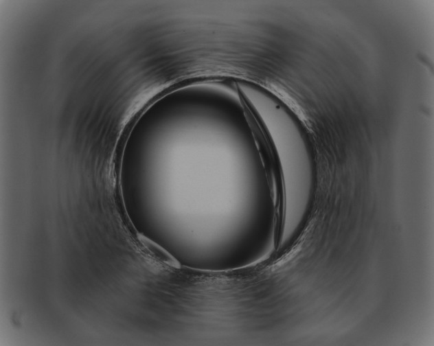 X0000091720885200709071433