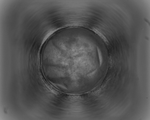 X0000091720886200709071433