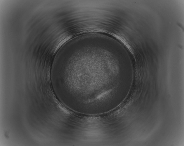 X0000091720889200709071433