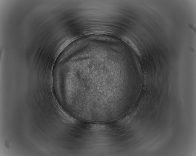 X0000091720890200709071433