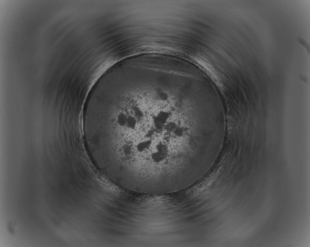 X0000091720891200709071433