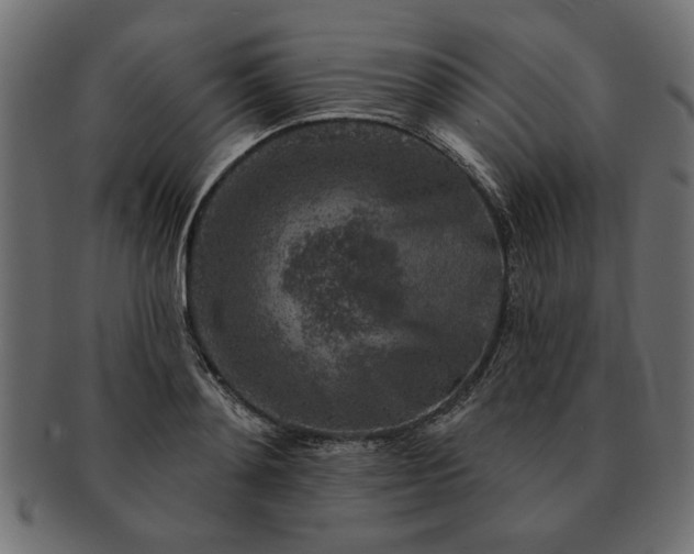 X0000091720892200709071433