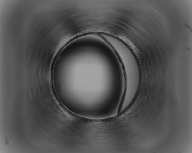 X0000091720894200709071433