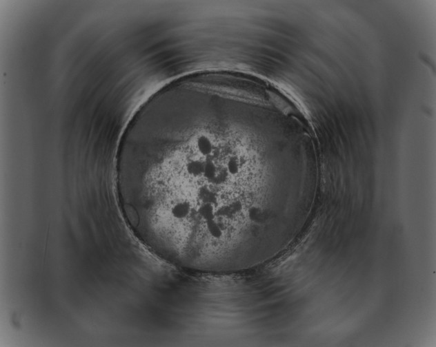 X0000091720895200709071433