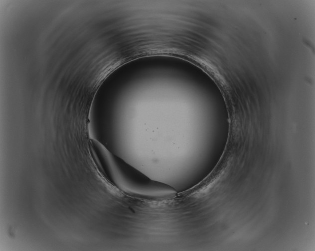 X0000091720897200709071433