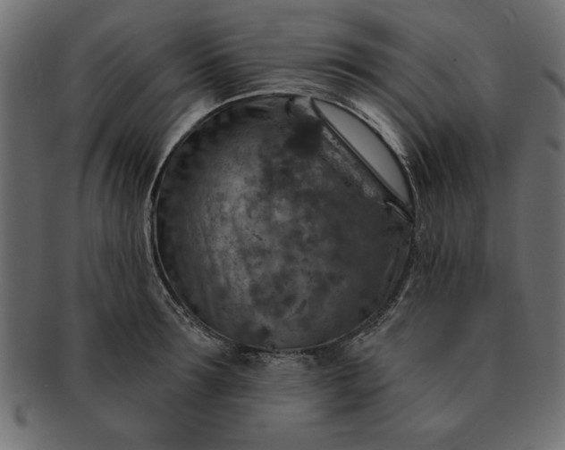 X0000091720899200709071433