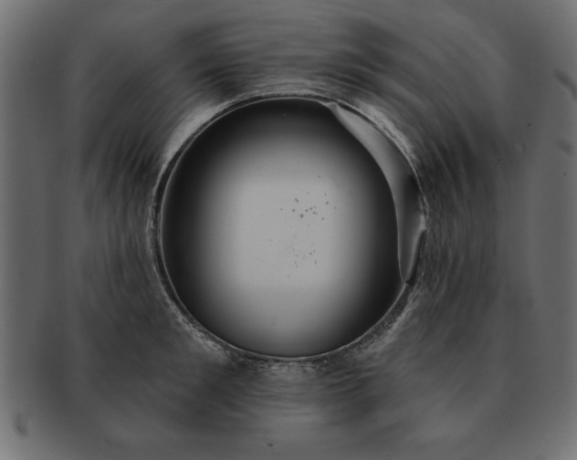 X0000091720901200709071433