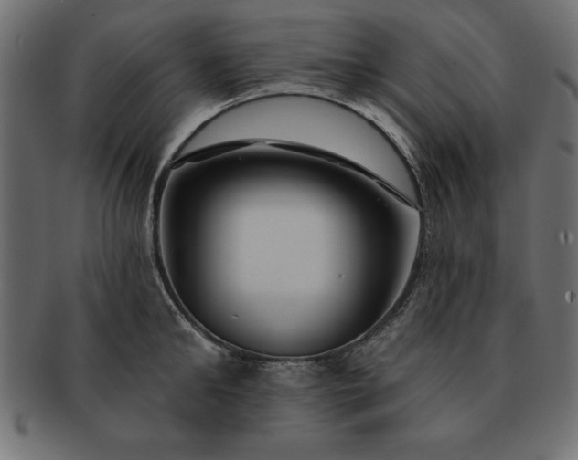 X0000091720902200709071433