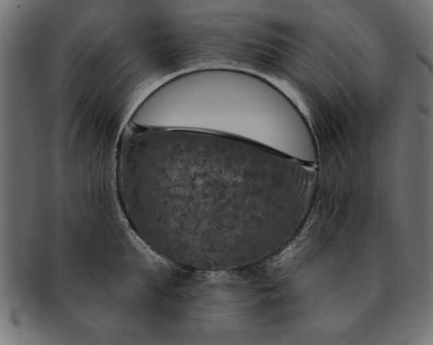 X0000091720903200709071433