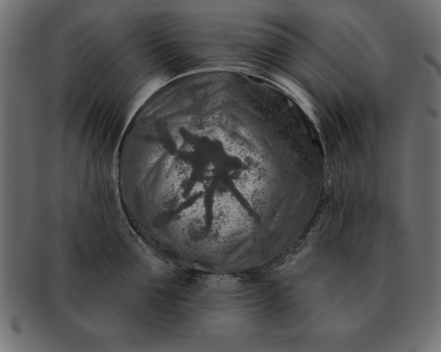 X0000091720907200709071433