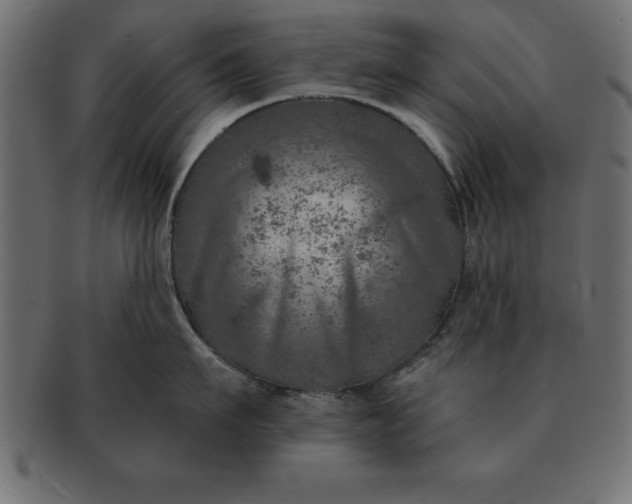 X0000091720911200709071433