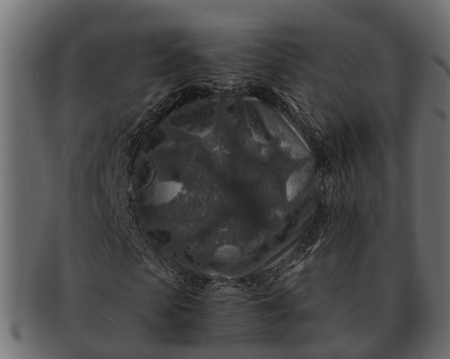 X0000091720913200709071432