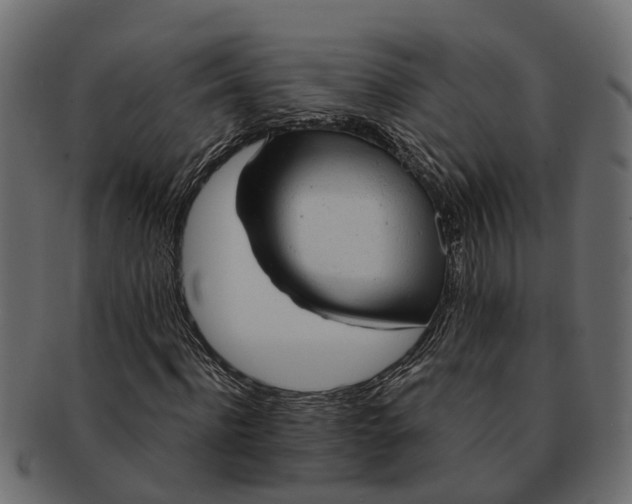 X0000091720916200709071432