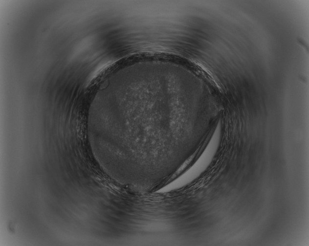 X0000091720919200709071432