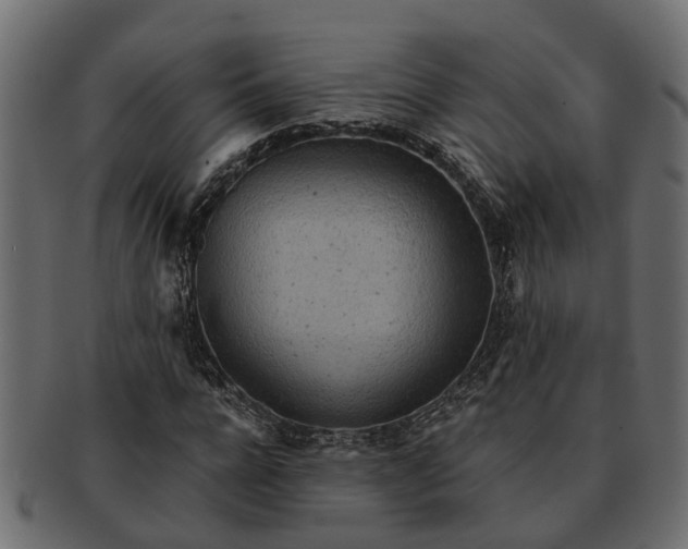 X0000091720920200709071432