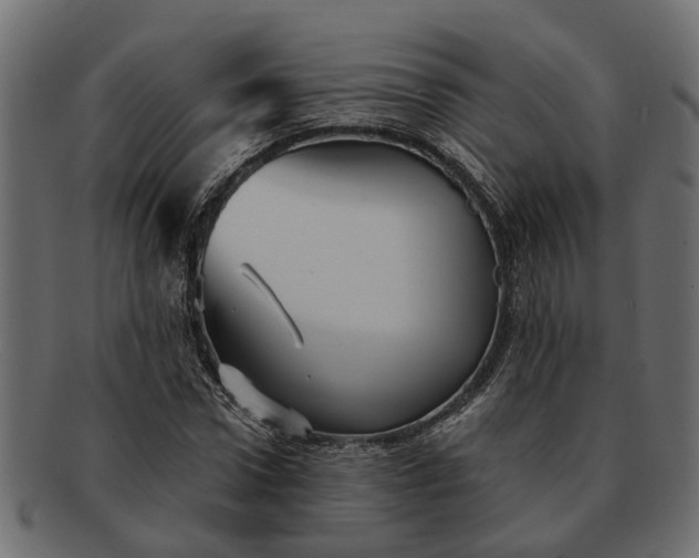 X0000091720922200709071432