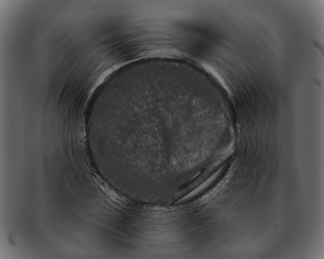 X0000091720923200709071432