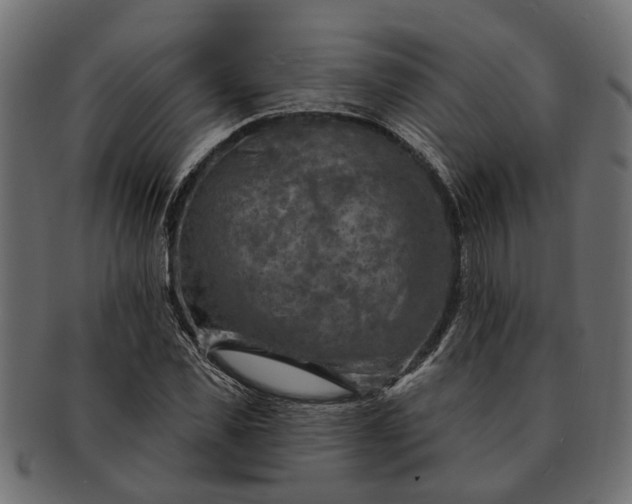 X0000091720925200709071432