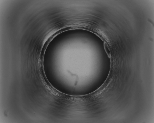 X0000091720928200709071432