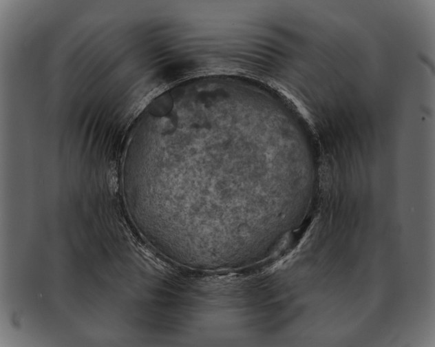 X0000091720929200709071432